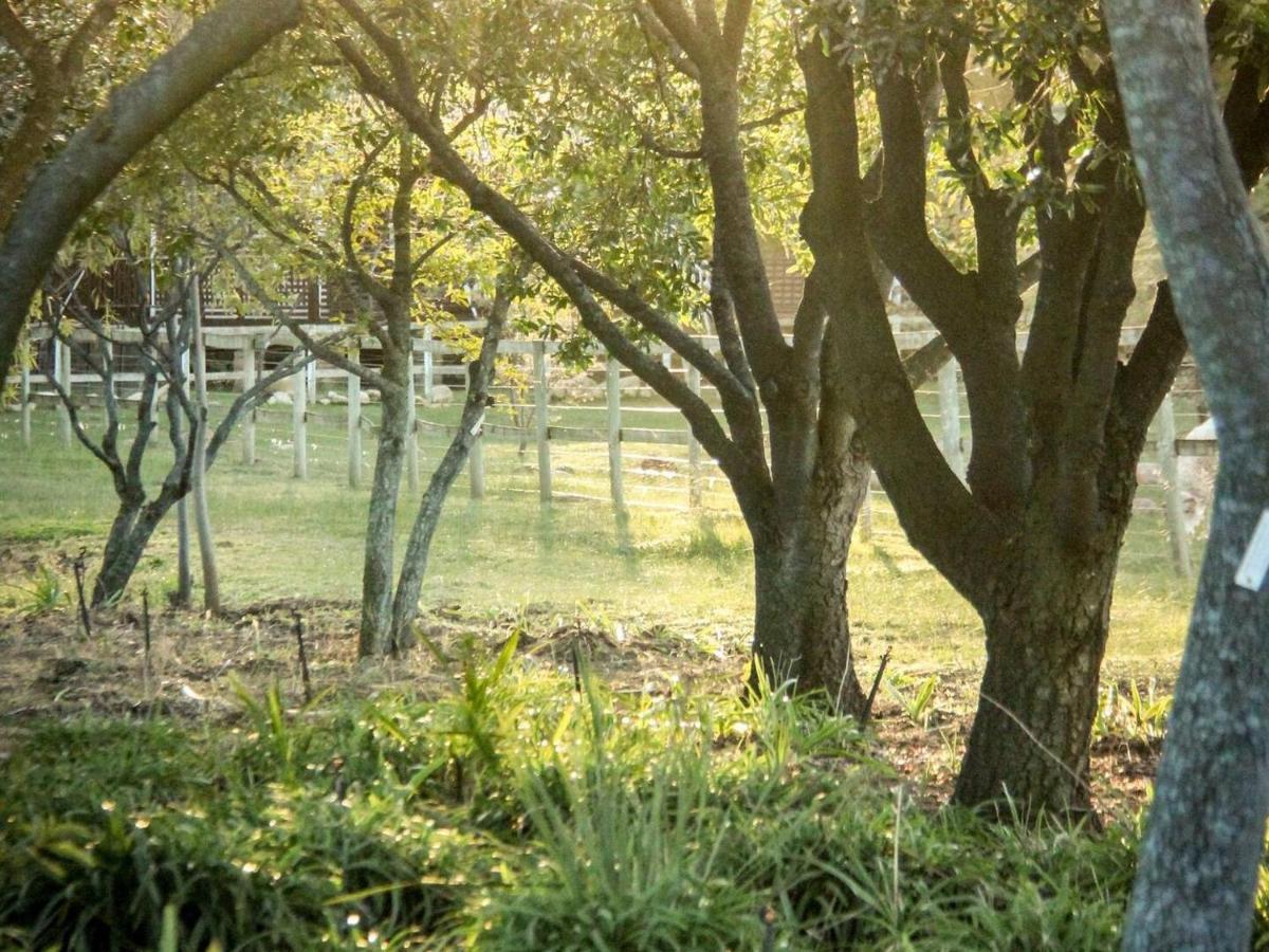 Place Of Sonlight Swellendam Esterno foto